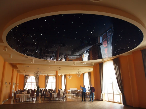 Cielo Estrellado 1