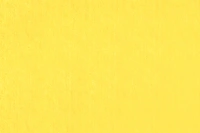 BZ 05 SUNFLOWER